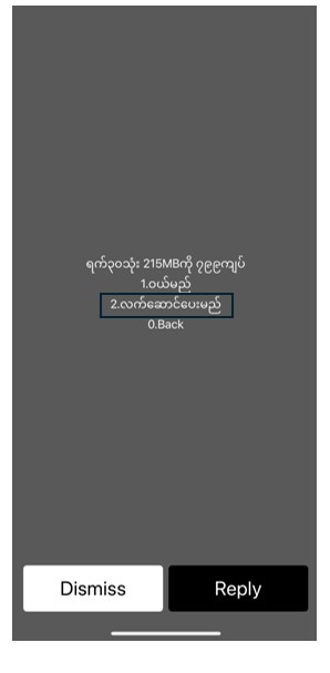 USSD_MM_Updated