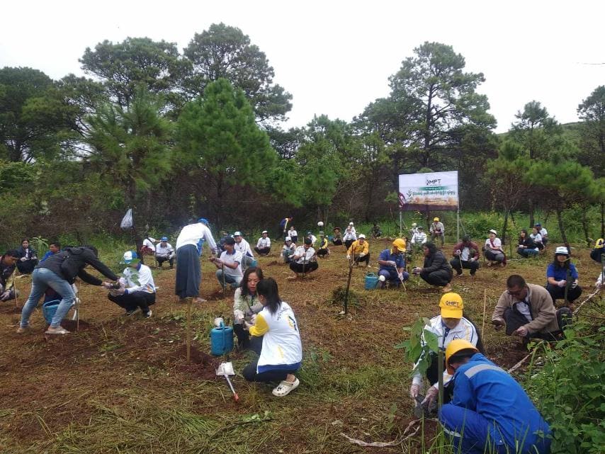 Tree Planting (1)
