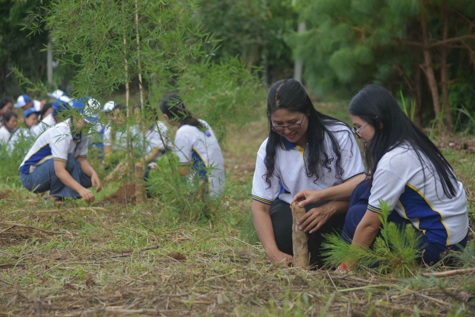 Tree Planting (3)